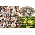 dried and natural guava fruit slice and cut as tea raw material